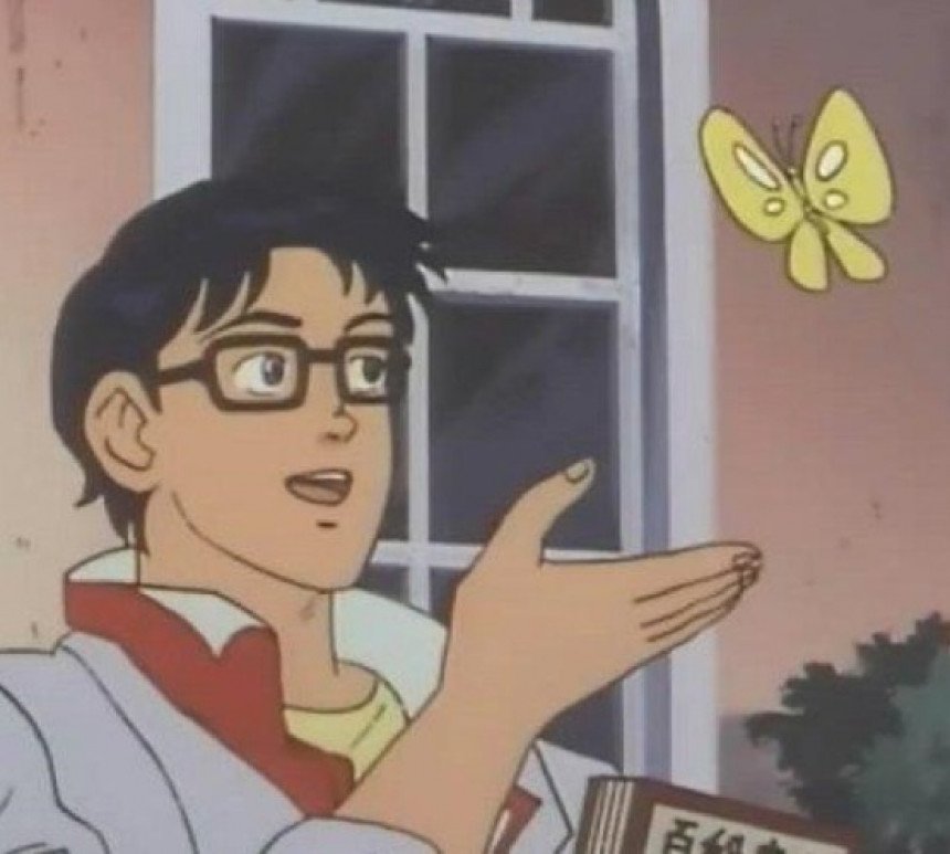 Is This A Butterfly Meme Template