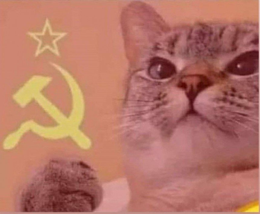 Communist Cat Meme Template