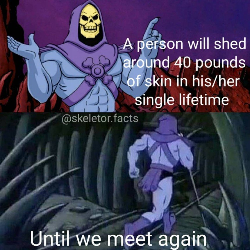 Skeletor Disturbing Facts Meme